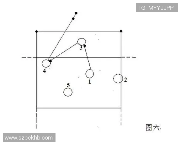 从零起步全面掌握排球战术技巧与实战应用指南