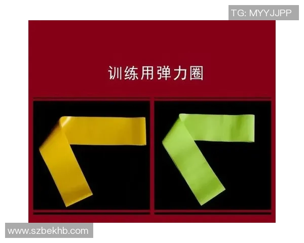 重庆羽毛球队耐力表现分析及其对训练效果的影响探讨 重庆羽毛球队耐力表现分析及其对训练效果的影响探讨