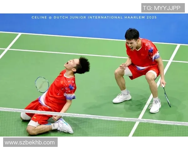 杭州羽毛球队在挑战赛中的实力展现与未来发展潜力分析