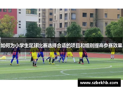 如何为小学生足球比赛选择合适的项目和组别提高参赛效果