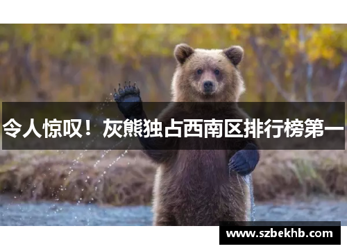 令人惊叹！灰熊独占西南区排行榜第一